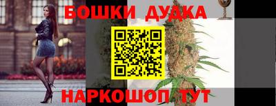 прущие крисы Будённовск