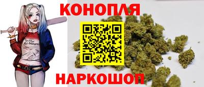 прущие крисы Будённовск