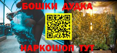 прущие крисы Будённовск