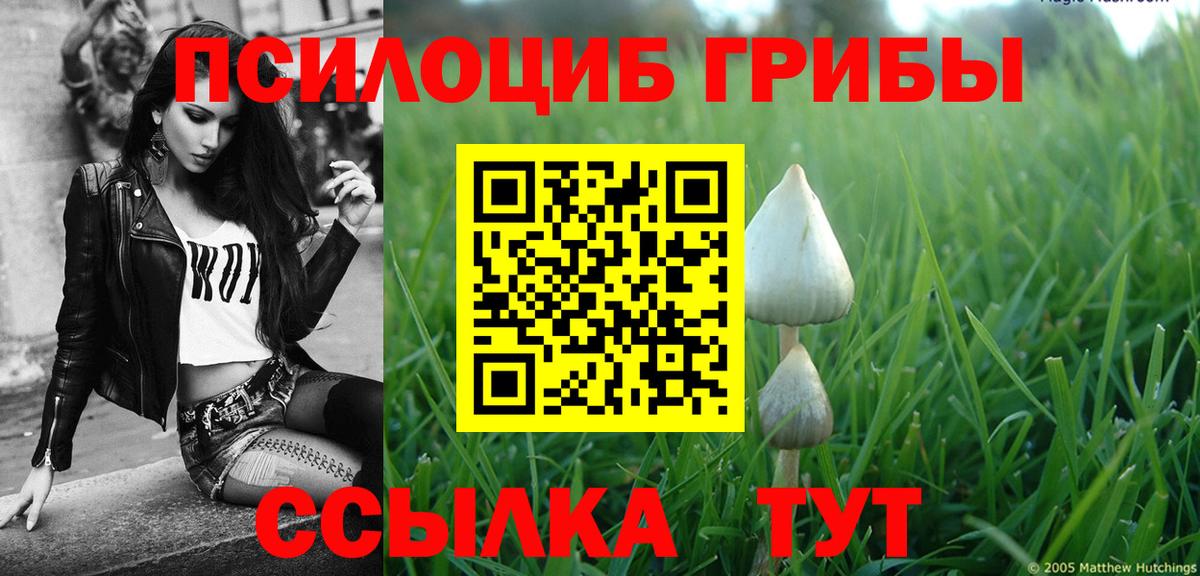 Мурино  Псилоцибиновые грибы ЛСД  Вход с VPN 
