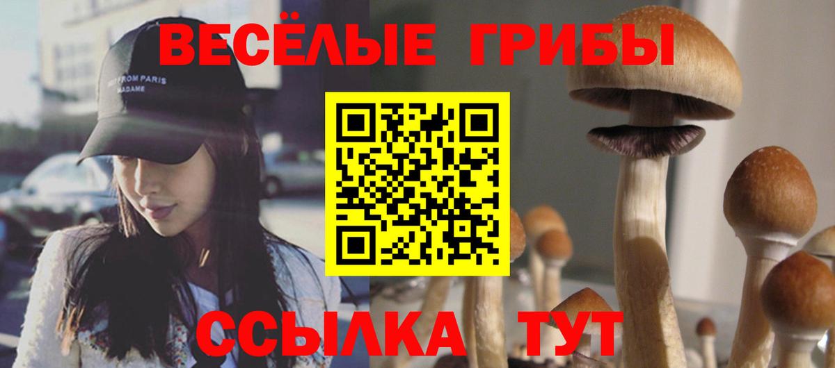 Галлюциногенные грибы ЛСД Мурино